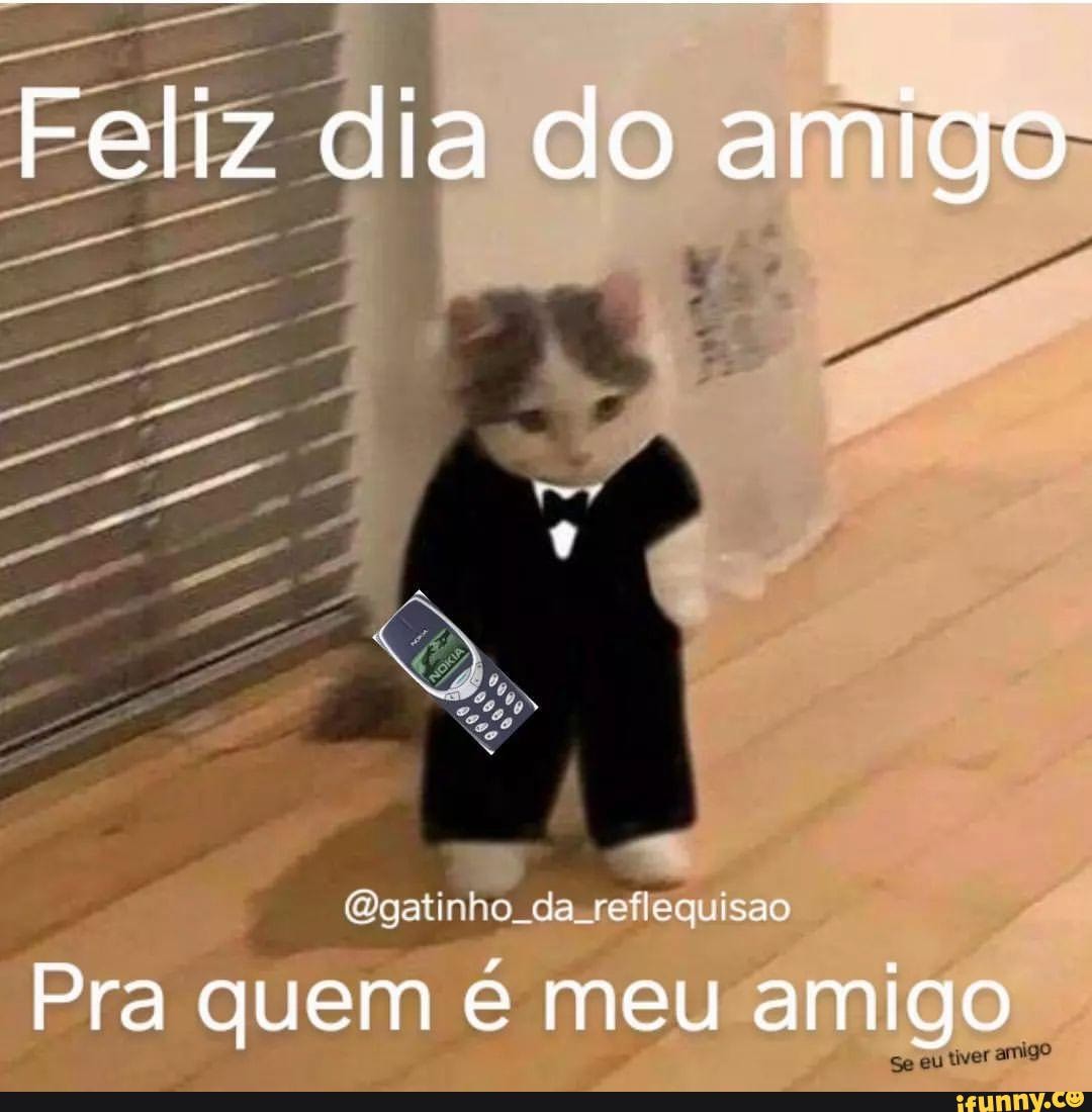 Feliz Dia Do Amigo Cgatinho Da Reflequisao Pra Quem é Meu Amigo Ifunny Brazil 6307