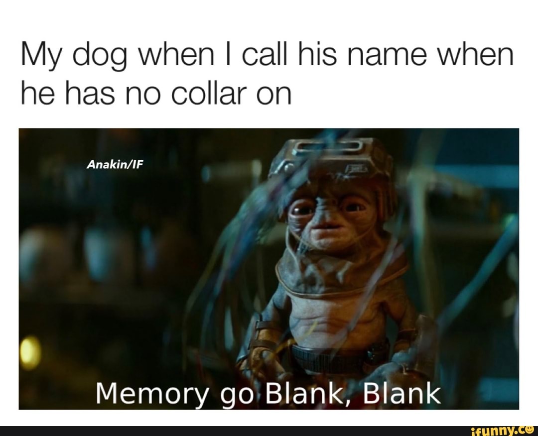 My dog when I call his name when he has no collar on
Memory go Blank, Blank