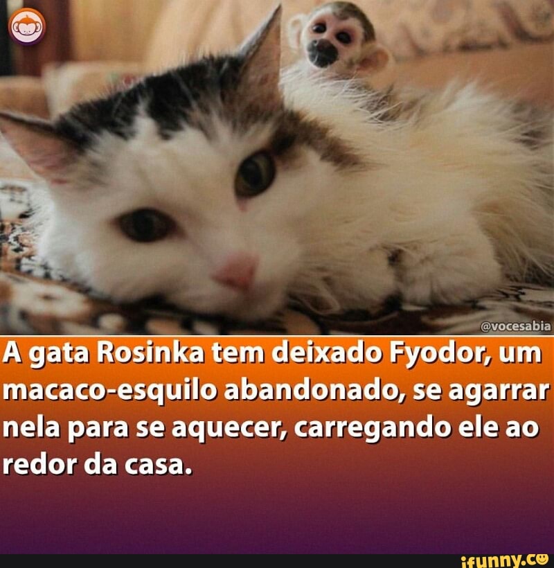nela para à se aquecer, carregando Ee
ao
redor da casa.