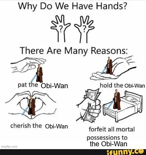 Why Do We Have Hands? There Are Many Reasons: pat the Obi-Wan hold the ...