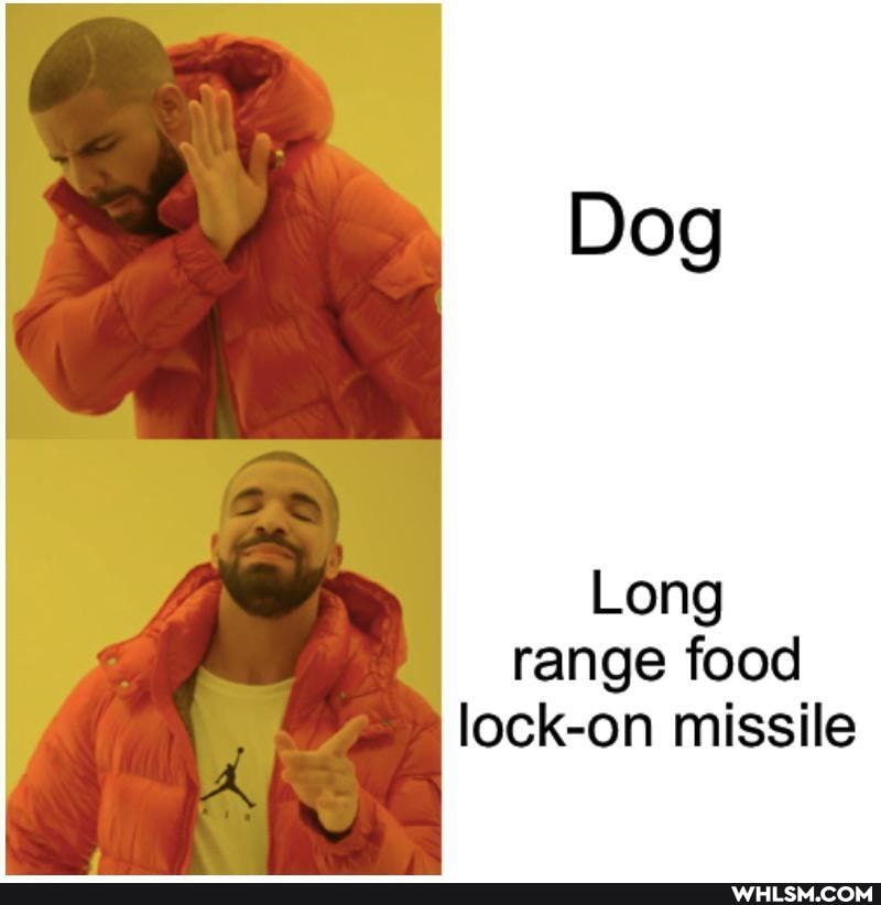 Dog
Long range food lock-on missile