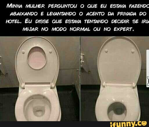 MINHA MULHER PERGUNTOU O QUE EU ESTAVA FA
ABAIXANDO E LEVANTANDO O ACENTO DA PRIVADA DO
HOTEL. EU DISSE QUE ESTAVA TENTANDO DECIDIR SE IR
MIJAR NO MODO NORMAL OU NO EXPERT.