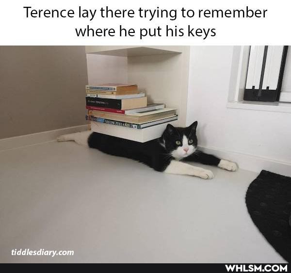 Terence lay there trying to remember where he put his keys
SS C