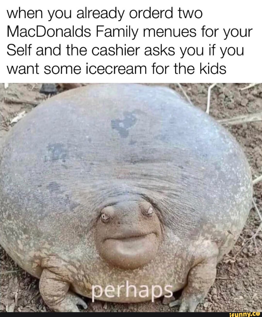 when you already orderd two
MacDonalds Family menues for your
Self and the cashier asks you if you want some icecream for the kids
ne "