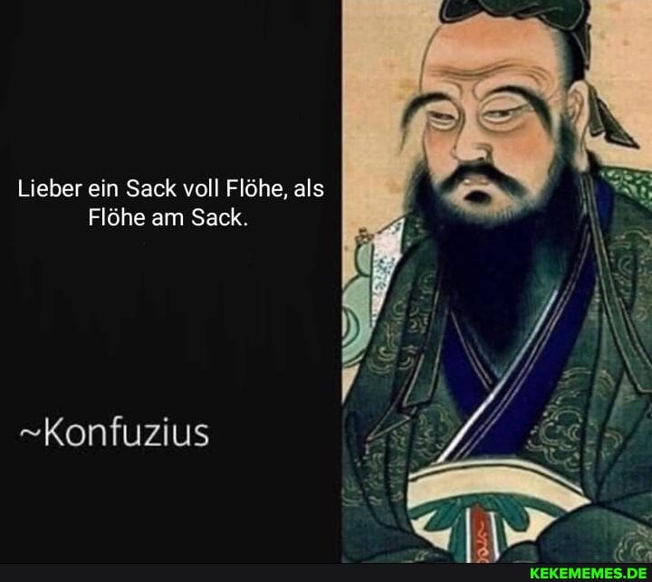 Lieber ein Sack voll Flöhe, als
Flöhe am Sack.
Konfuzius