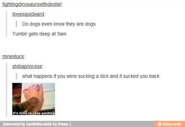 fightingdinosaurswithdestie!:
Do dogs even know they are dogs
Tumbir gets deep at 3am
shibaprincess:
what happens if you were sucking a dick and it sucked you back