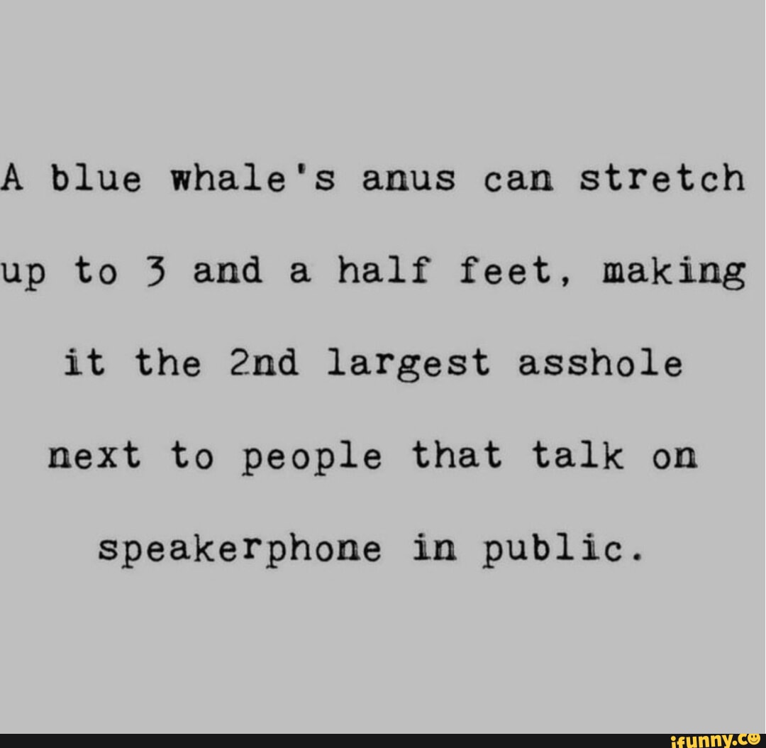 Speakerphone memes. Best Collection of funny Speakerphone pictures on