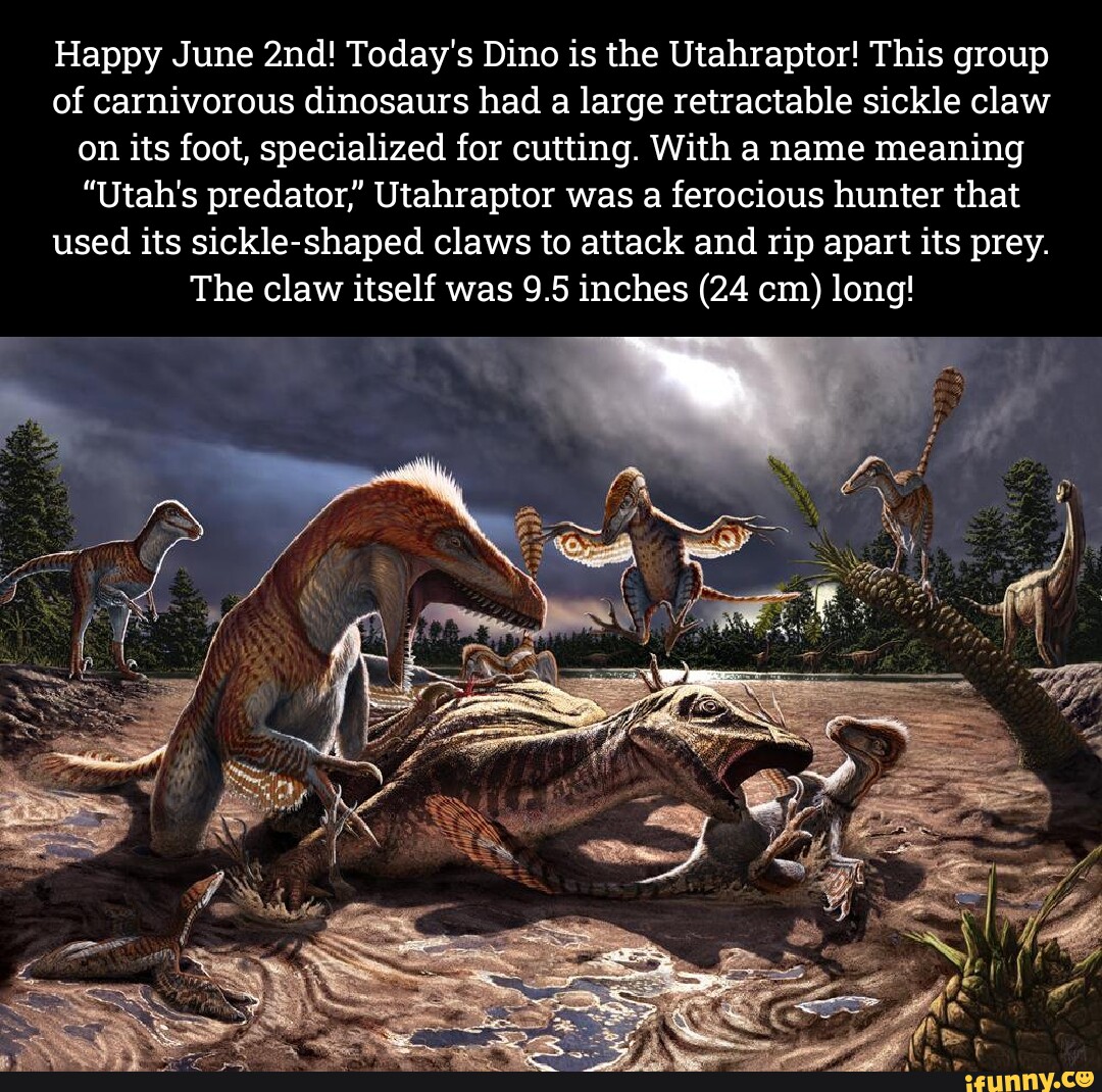 Happy June Today's Dino Is The Utahraptor! This Group Of Carnivorous 