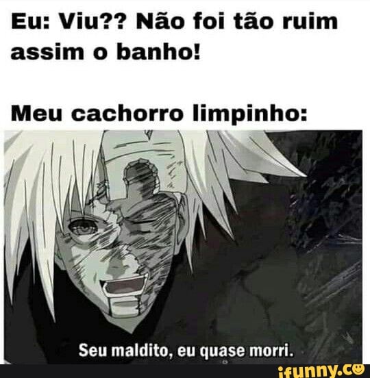 Eu: Viu?? Não foi tão ruim assim o banho!
Meu cachorro limpinho:
Seu maldito, eu quase morri.
