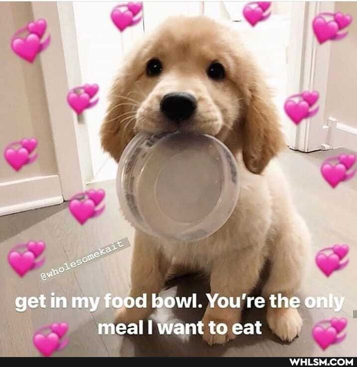 get in my food bowl. You're the only meal I want to eat