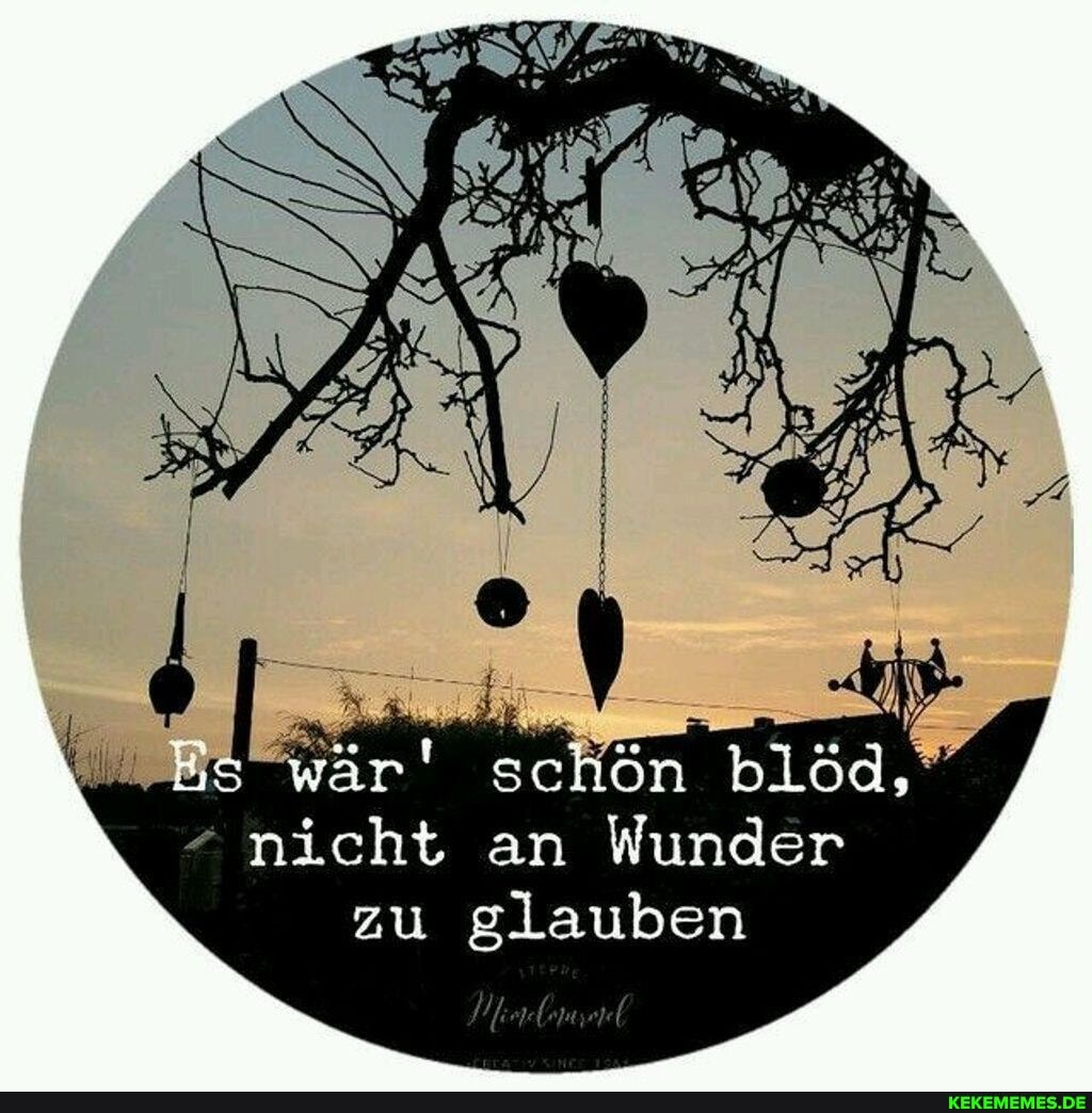 wär' scHön blöd, nicht an Wunder zu glauben
