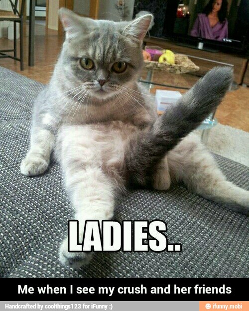 Me when I see my crush and her friends