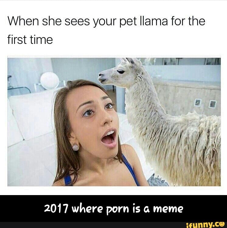 When she sees your pet llama for the first time 2017 where porn is a meme -...