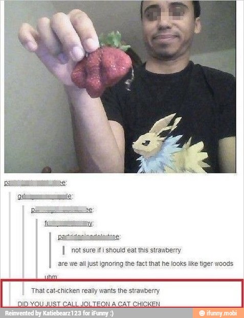 I not sure iti should eat tis strawberry
are we all just ignoring the fact that he looks like tiger woods
That cat-chicken really wants the strawb
YOU JUST CALL JOLTEON A CAT CHICKEN