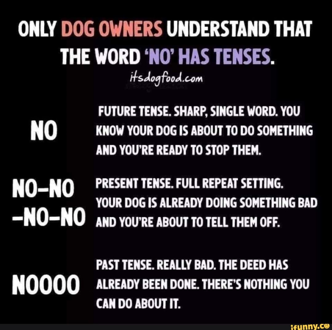 ONLY DOG OWNERS UNDERSTAND THAT THE WORD 'NO' HAS TENSES. itsdogfood