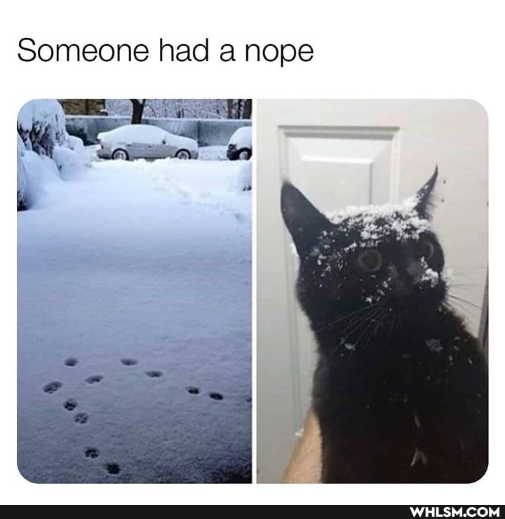 Someone had a nope
Say