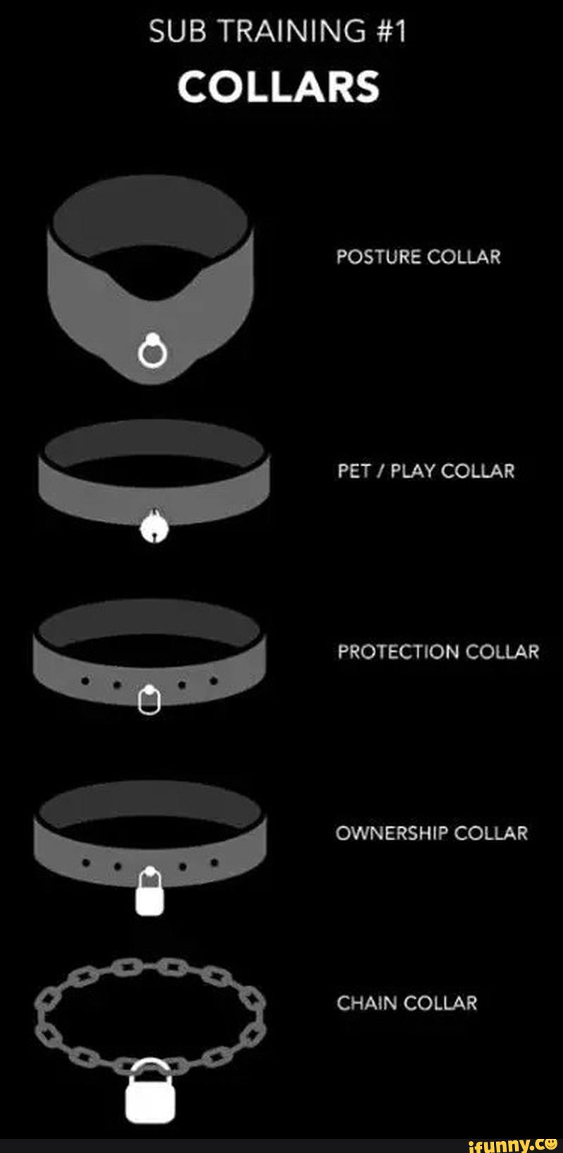 SUB TRAINING 1 COLLARS (( POSTURE COLLAR PET I PLAY COLLAR )