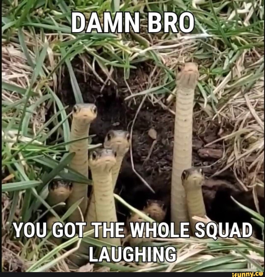 Damn Bro You Got The Whole Squad Laughing Ifunny 2525