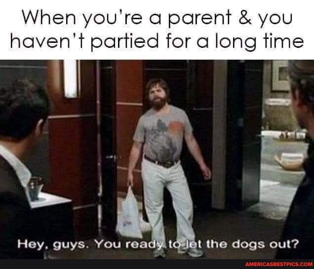 When you're a parent & you
haven't partied for a long time
Hey, guys. You read} et the dogs out?