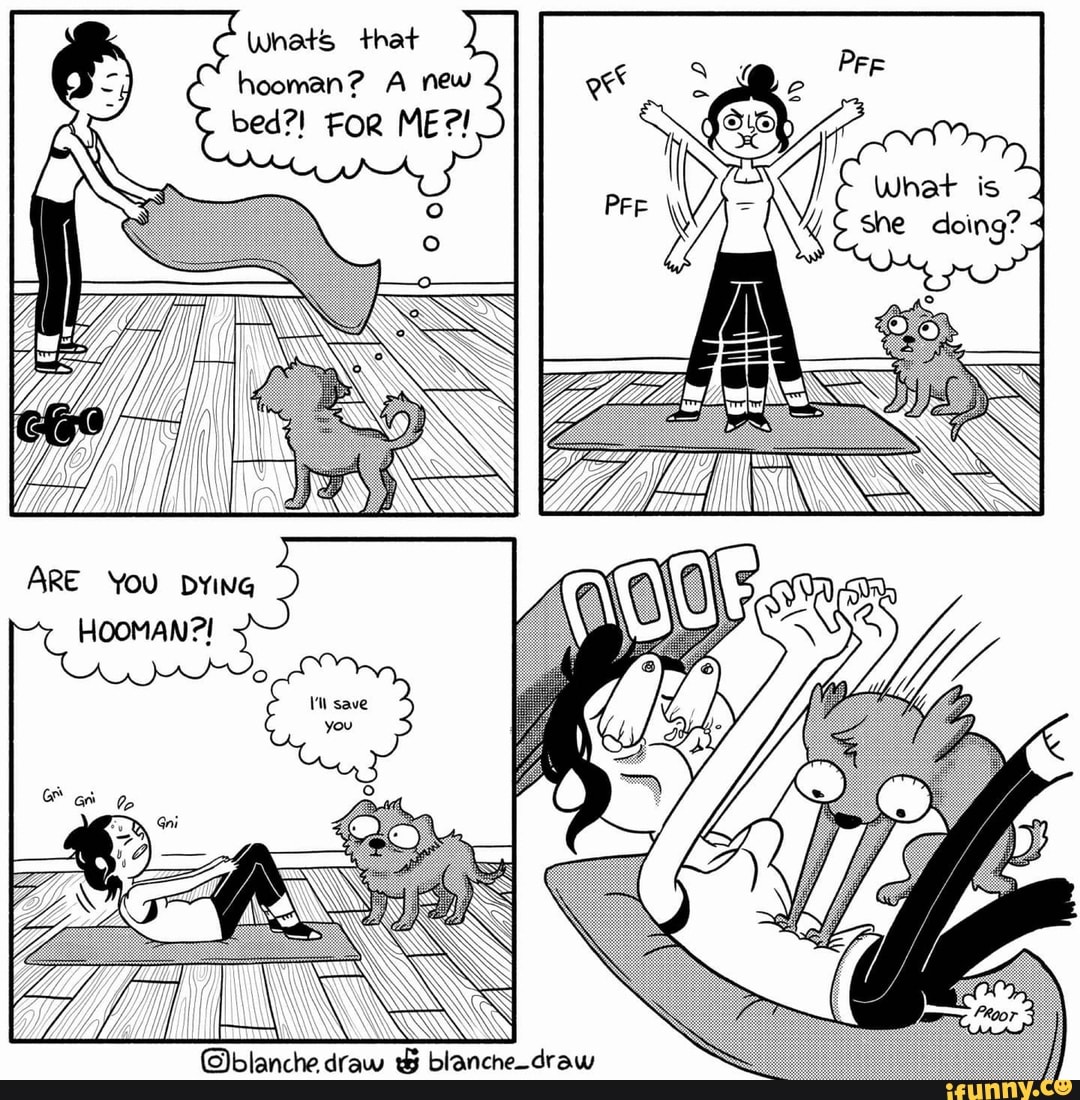 Whats that hooman? A new bed?! FoR ME?!
ARE You DYING HOOMAN?!
@blanche draw blanche-draw