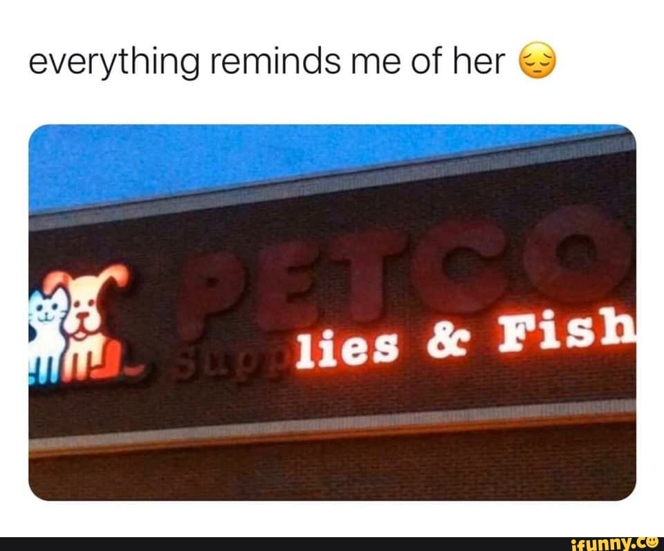 everything reminds me of her