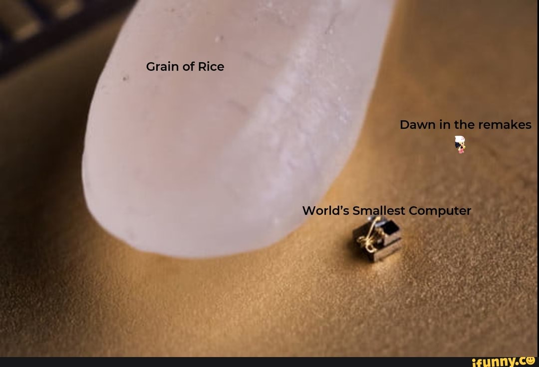 Grain of Rice
Dawn the renakes
Worlds Smallest Computer