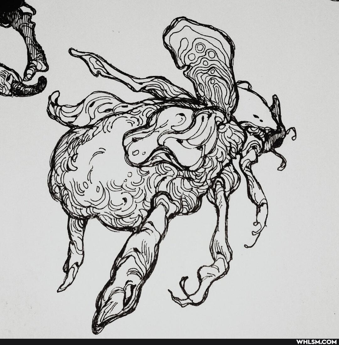 illustration, drawing, art, insects