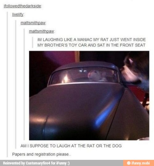 IM LA! ING LIKE A MANIAC MY RAT JUST WENT INSIDE
MY BROTHER'S TOY CAR AND SAT IN
THE FRONT SEAT
SE TO LAUGH AT THE RAT
OR
THE DO! AM ISU
Papers and registration please