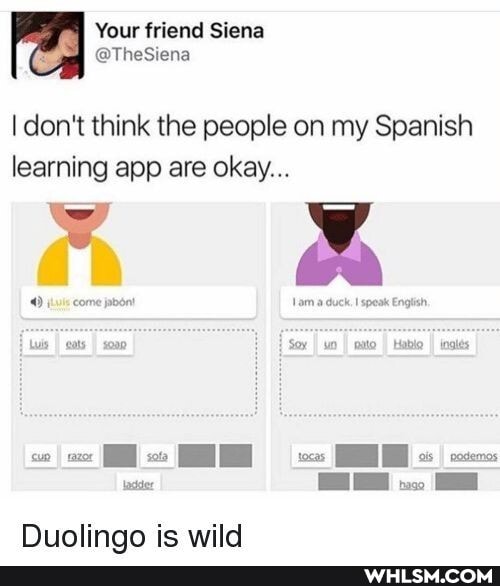 Your triend Siena
don't think the people on my Spanish learning app are okay...
49 come a duck. speak English
Luis I gals I soap Soy I u pato Habo I inales
cuo I ce soo ccs I sxcros
ladder
Duolinao is wild