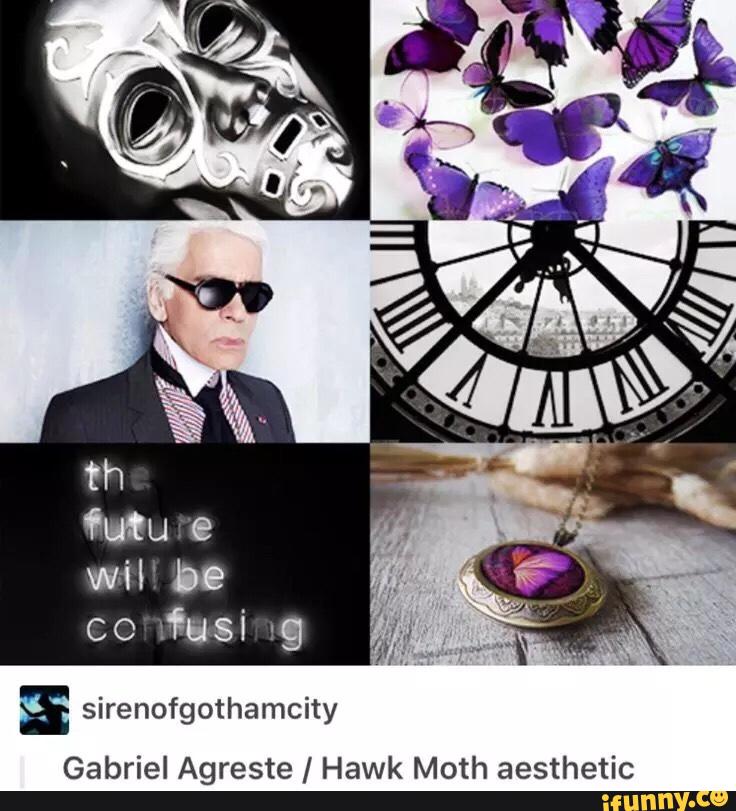 S Sirenofgothamcity Gabriel Agreste Hawk Moth Aesthetic