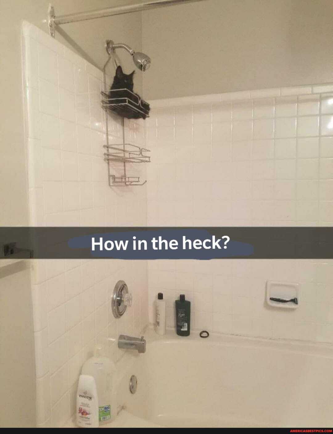 How in the heck?