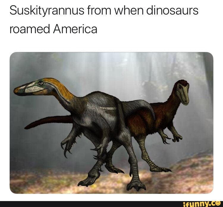 Suskityrannus from when dinosaurs roamed America - iFunny Brazil