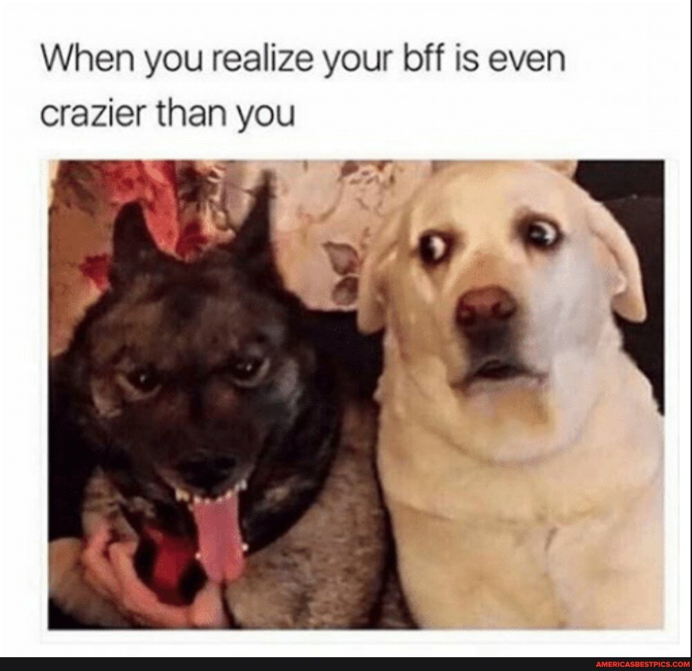 When you realize your bff is even crazier than you