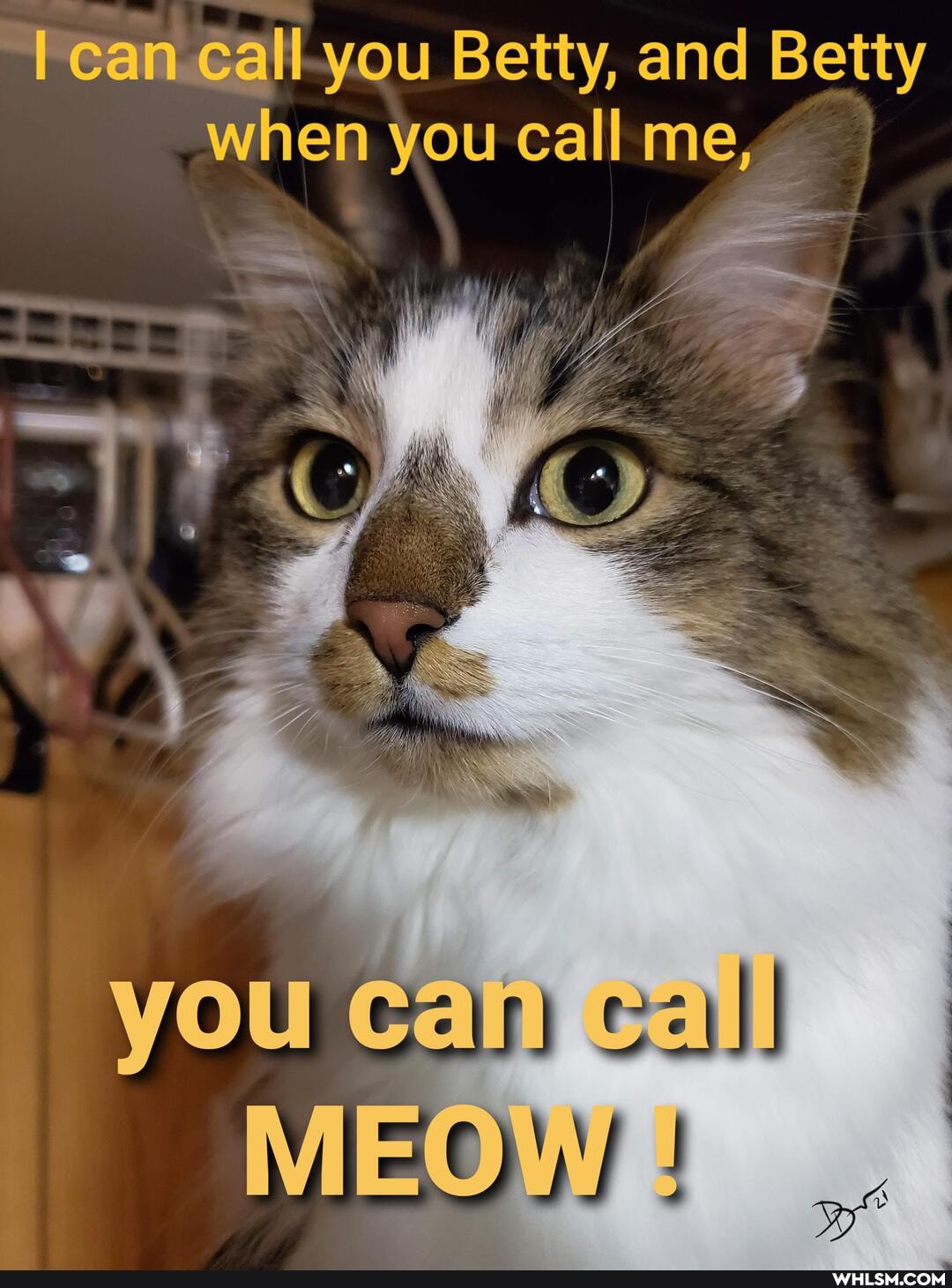 can call you Betty, and Betty when you call me,
VOU Gan call
MEOW