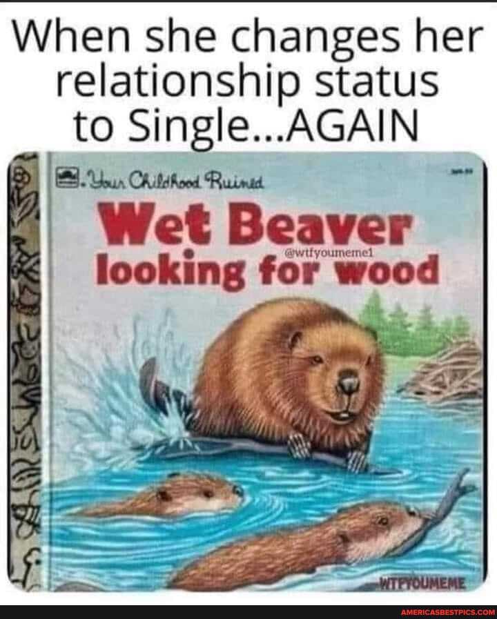 When she changes her relationship status to Single... AGAIN on
II Chititend Rinet
Wet Beaver
e @uttyournemel looking for wood