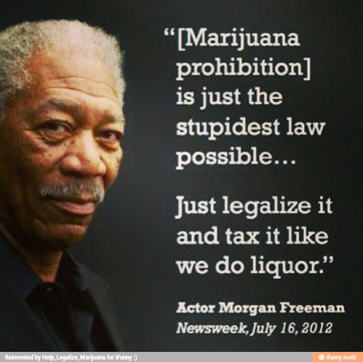 marijuana-prohibition-is-just-the-stupidest-law-possible-just