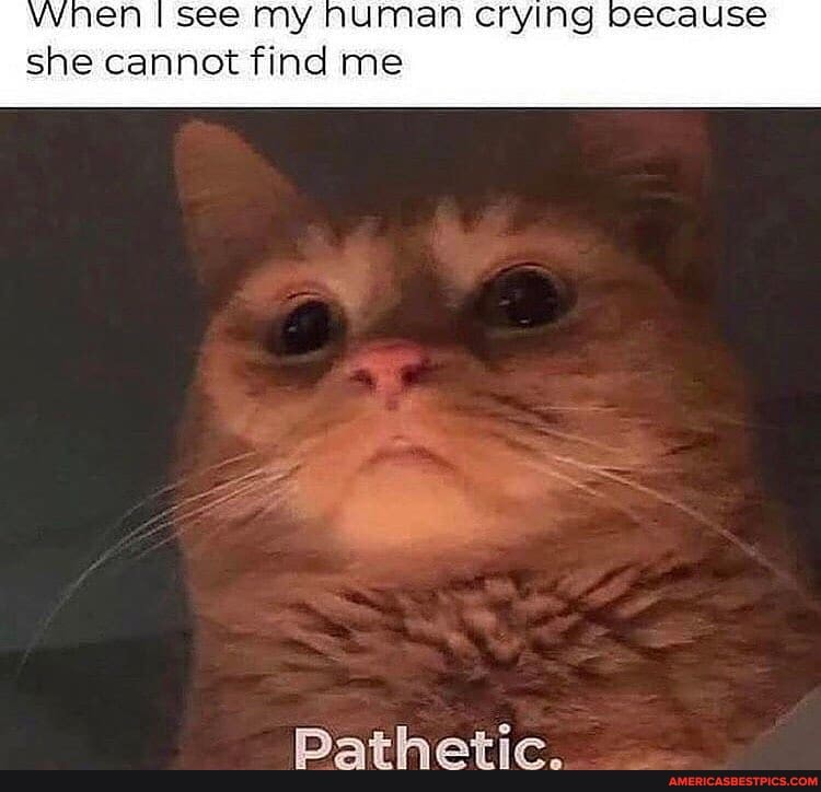 when I see my numan crying because she cannot find me