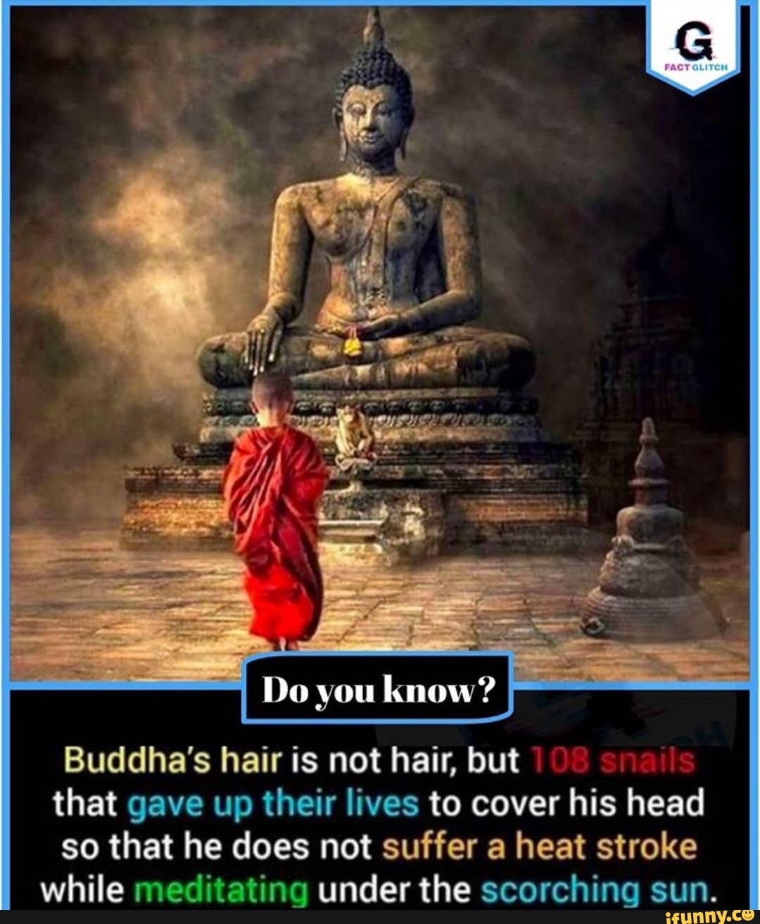 Buddha's hair is not hair, but that gave up their lives to cover his head  so that he does not suffer a heat stroke while meditating under the  scorching sun. 