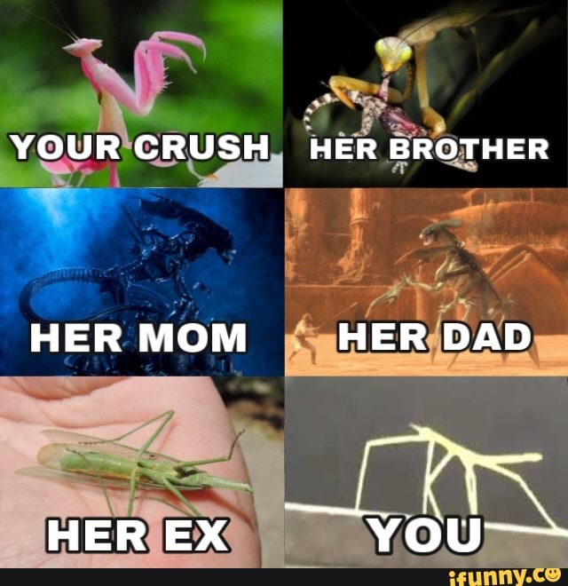 Your Crush Her Brother Her Mom Her Dad Her Ex Your Ifunny 1262