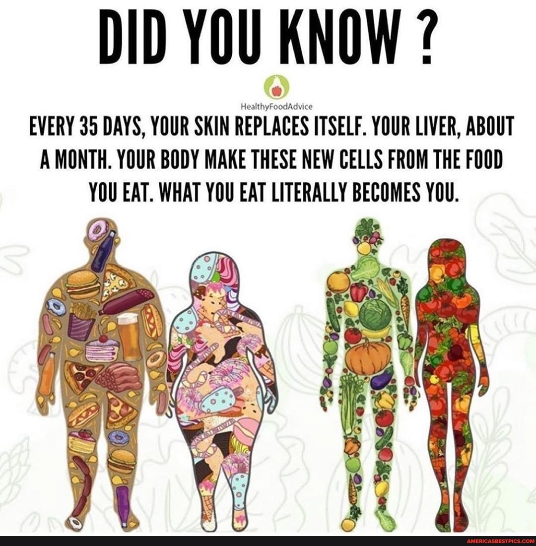 DID YOU KNOW ?
EVERY 35 DAYS, YOUR SKIN REPLACES ITSELF. YOUR LIVER, ABOUT A MONTH. YOUR BODY MAKE THESE NEW CELLS FROM THE FOOD YOU EAT. WHAT YOU EAT LITERALLY BECOMES YOU.