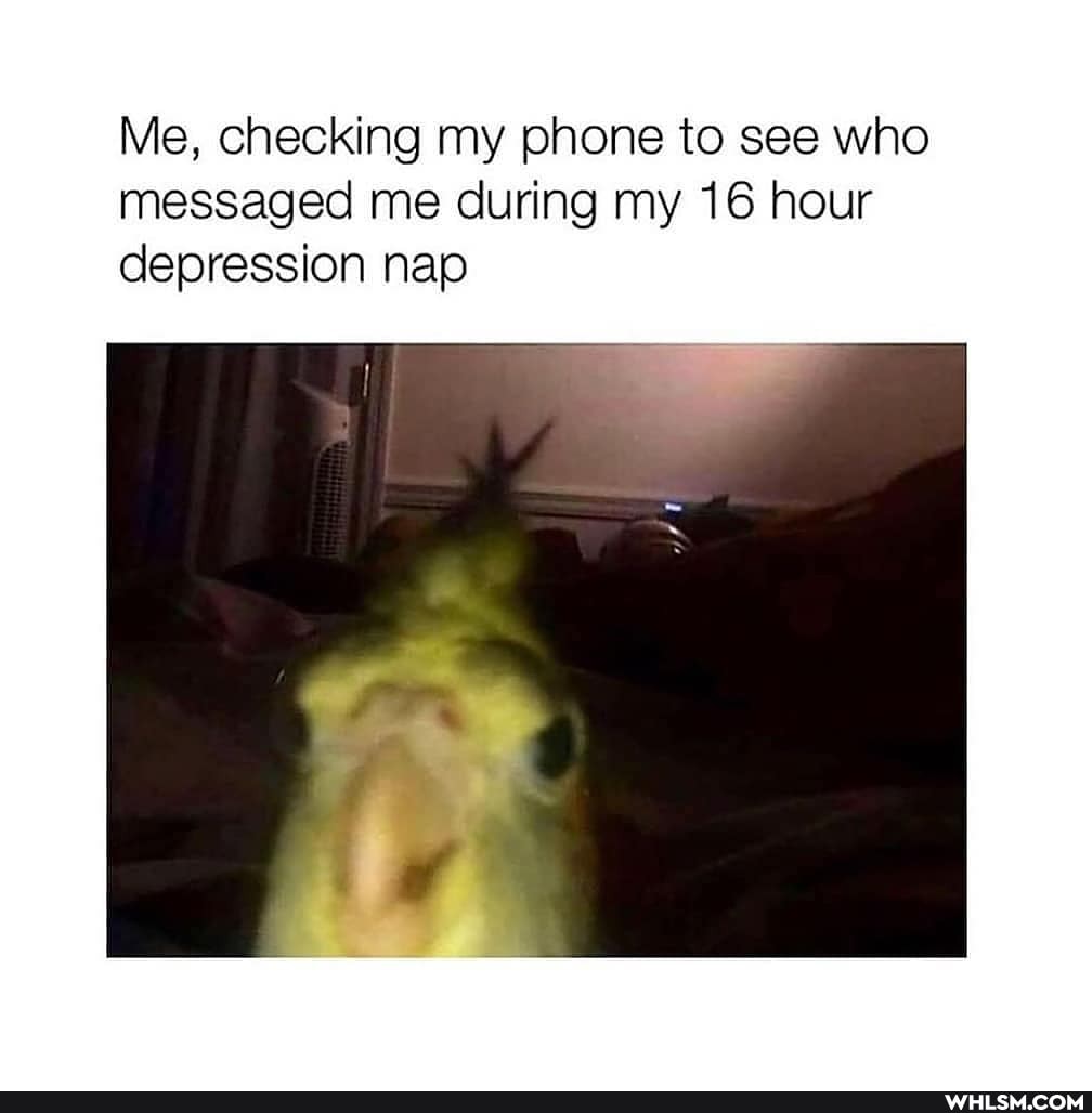 Me, checking my phone to see who messaged me during my 16 hour depression nap
