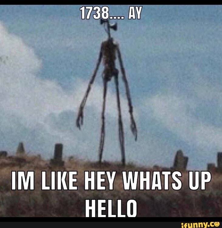 MM LIKE HEY WHATS UP HELLO - iFunny