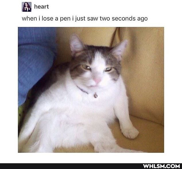 heart
when i lose a pen i just saw two seconds ago