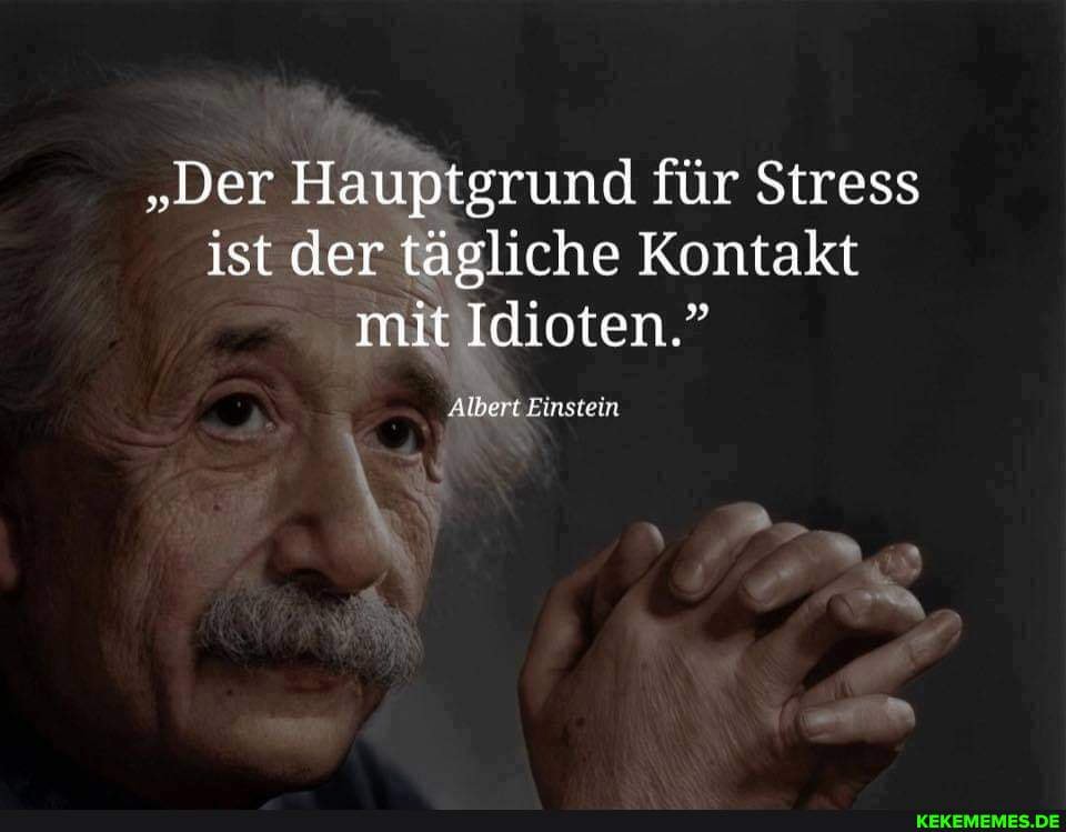 Der Hauptgrund Für Stress Ist Der Tägliche Umgang Mit Idioten kekememes.de