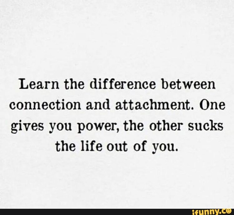 Learn The Difference Between Connection And Attachmen vrogue.co