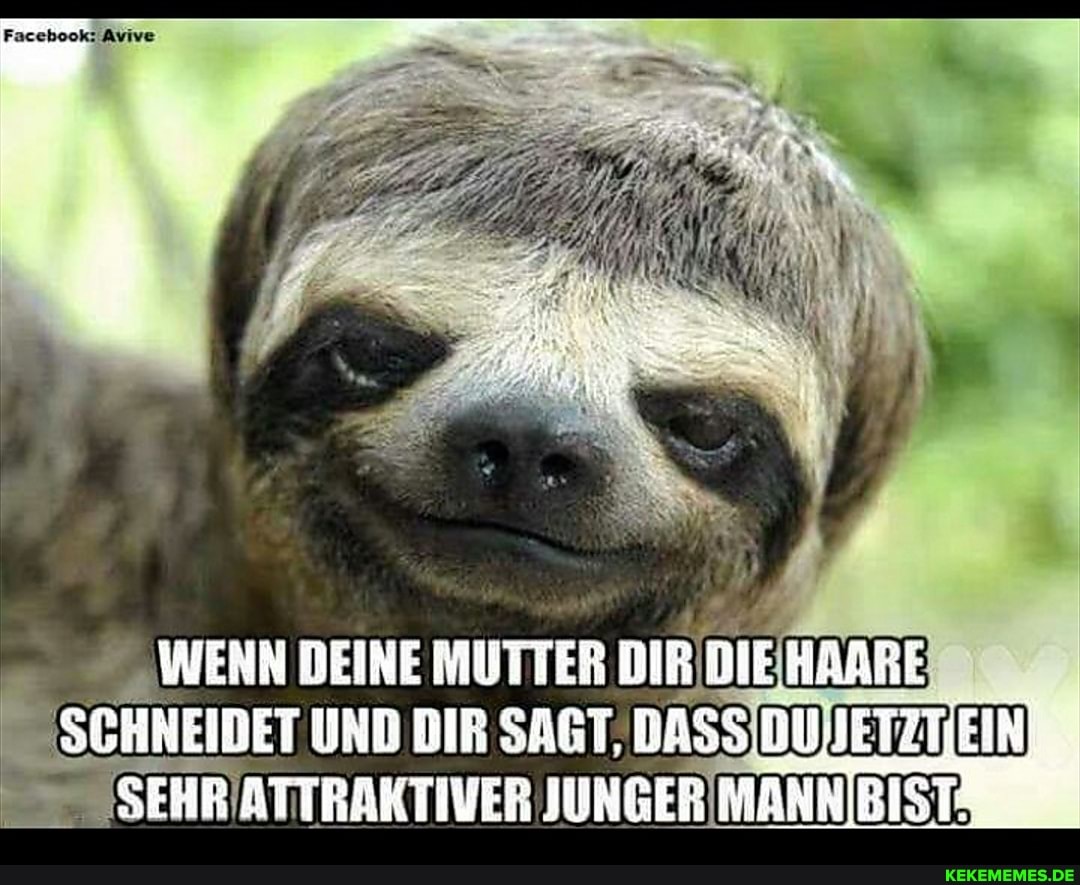Facebook: Avive
WENN DEINE MUTTER DIR DIEIHAARE
(SCHNEIDET UND DIR SAGT, BASS JUNGERIMANNIBISTA