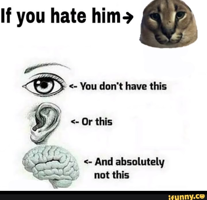 If you hate him>
You don't have this
Or this
And absolutely not this