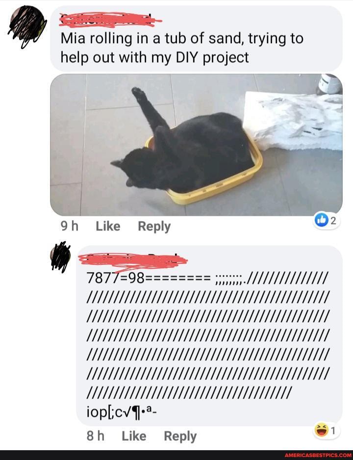 Mia rolling in a tub of sand, trying to
help out with my DIY project
Sh Like Reply
Like