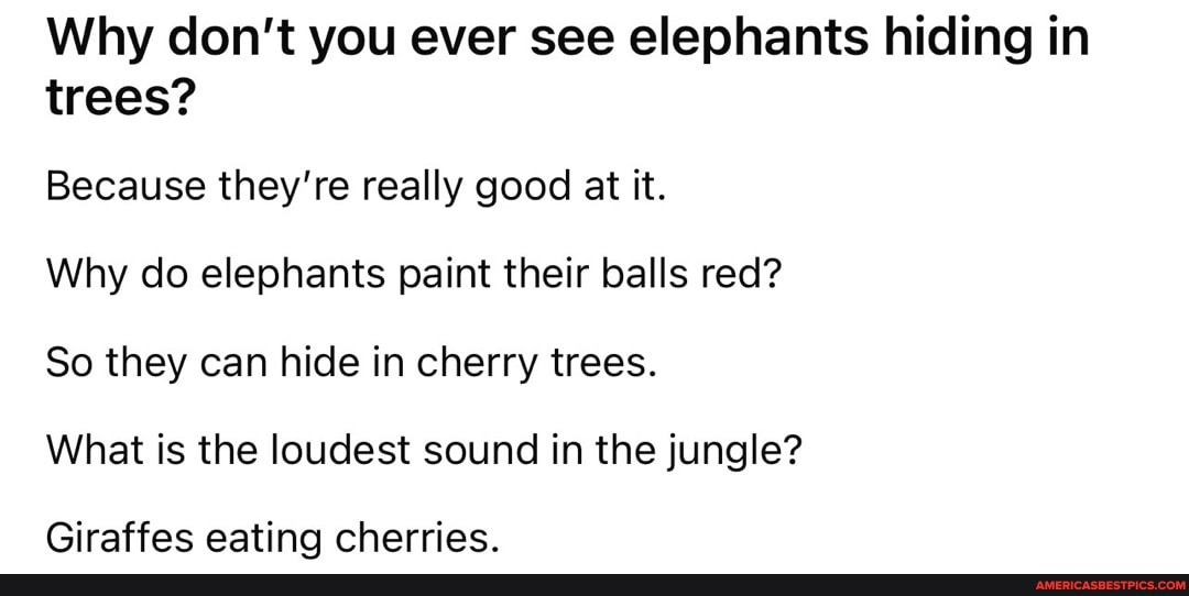 Elephants in see hiding do you why trees never 318 Clean