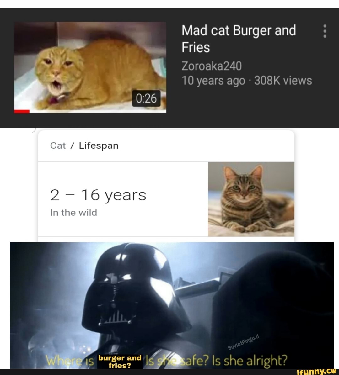 16 years
In the wild
Mad cat Burger and
10 years ago 308K views